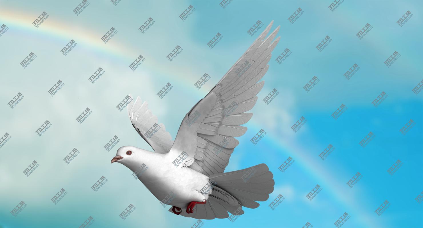 images/goods_img/20210319/White Dove model/1.jpg